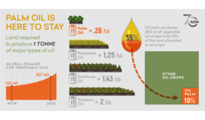 Infographic IUCN opbrengst oliegewassen per hectare